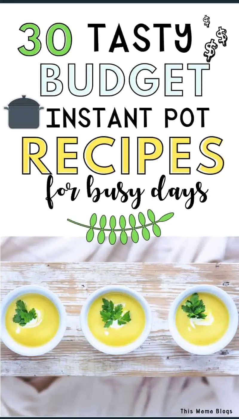 Looking for budget Instant Pot recipes to help you save money and time? Here’s a list of 30 ridiculously easy cheap and tasty Instant Pot recipes to try! This list contains healthy vegetarian recipes; delicious pasta and chicken recipes as well as a selection of hearty soups your family will surely love! #frugalfood #budgetmealsforlargefamilies #mealplanningideas