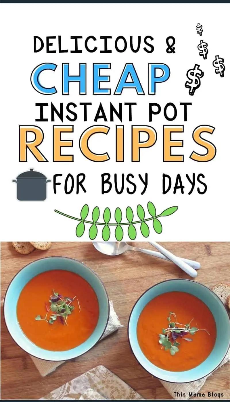 We all have our busy days. Whether that’s every day or certain days during the week, sometimes making a decent, healthy and affordable meal for the family can be such a struggle. Well, it doesn't have to be with these delicious, easy to make, and money saving Instant Pot recipes! #frugalfood #budgetmeals #howtosavemoneyonfood