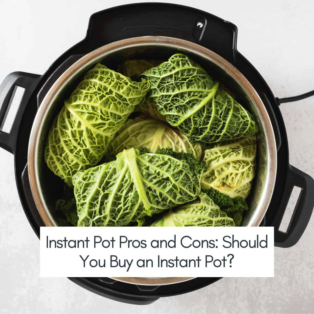 The Instant Pot Pros and Cons Should I Buy an Instant Pot? This Mama