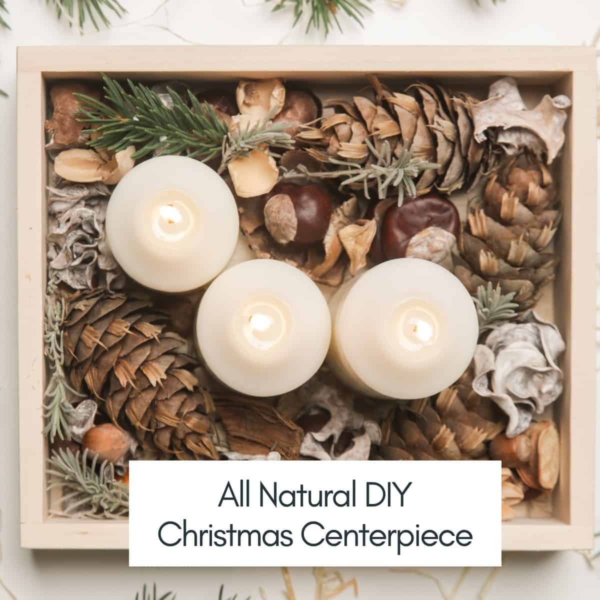 20+ Cheap and Simple Christmas Table Decorations 12 20+ Cheap and Simple Christmas Table Decorations