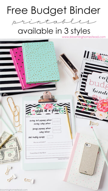 20 Best Free Printable Budget Worksheets